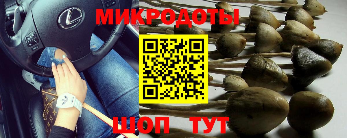 Темрюк  Псилоцибиновые грибы мухоморы  Вход с VPN 